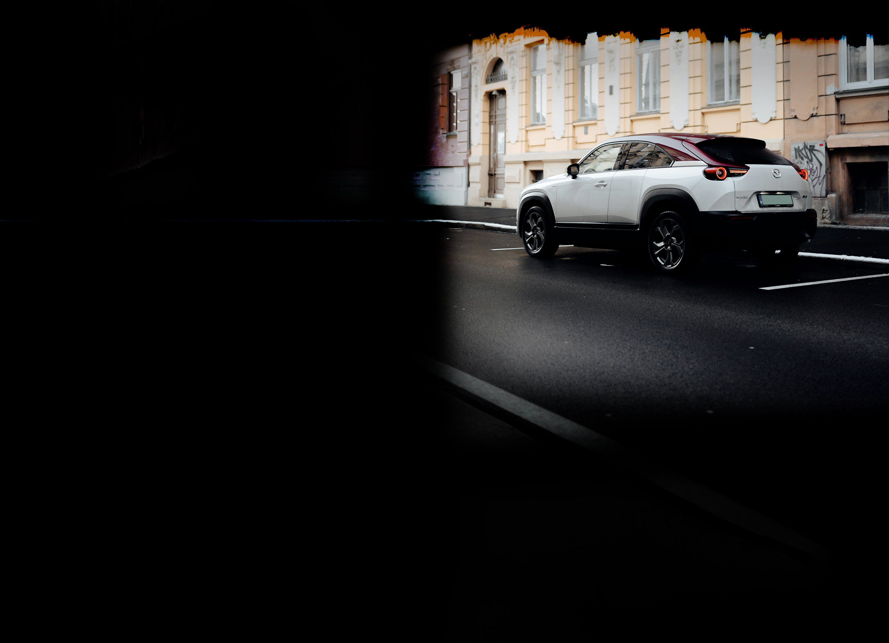 Photo by Martin Katler on Unsplash