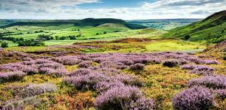 Yorkshire and the Humber