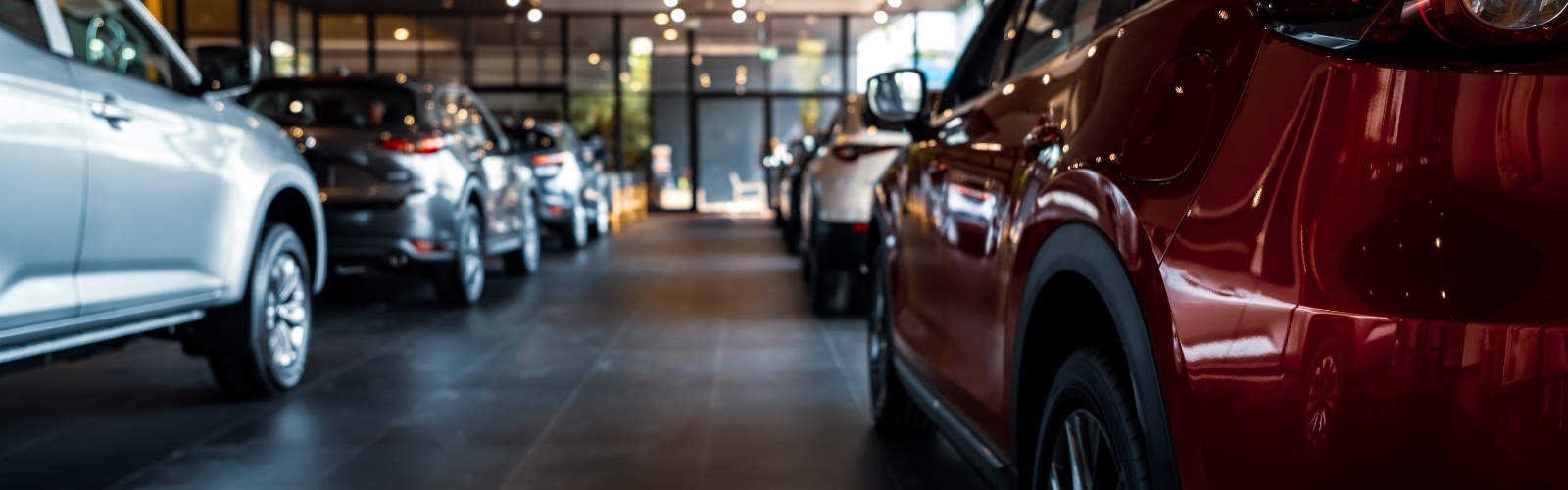 Popular vehicle types in 2025