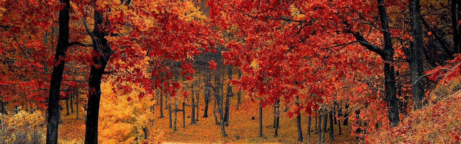 When is the Best Time of the Year to Lease a Car?