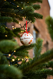 Christmas and New Year opening Hours 2025 