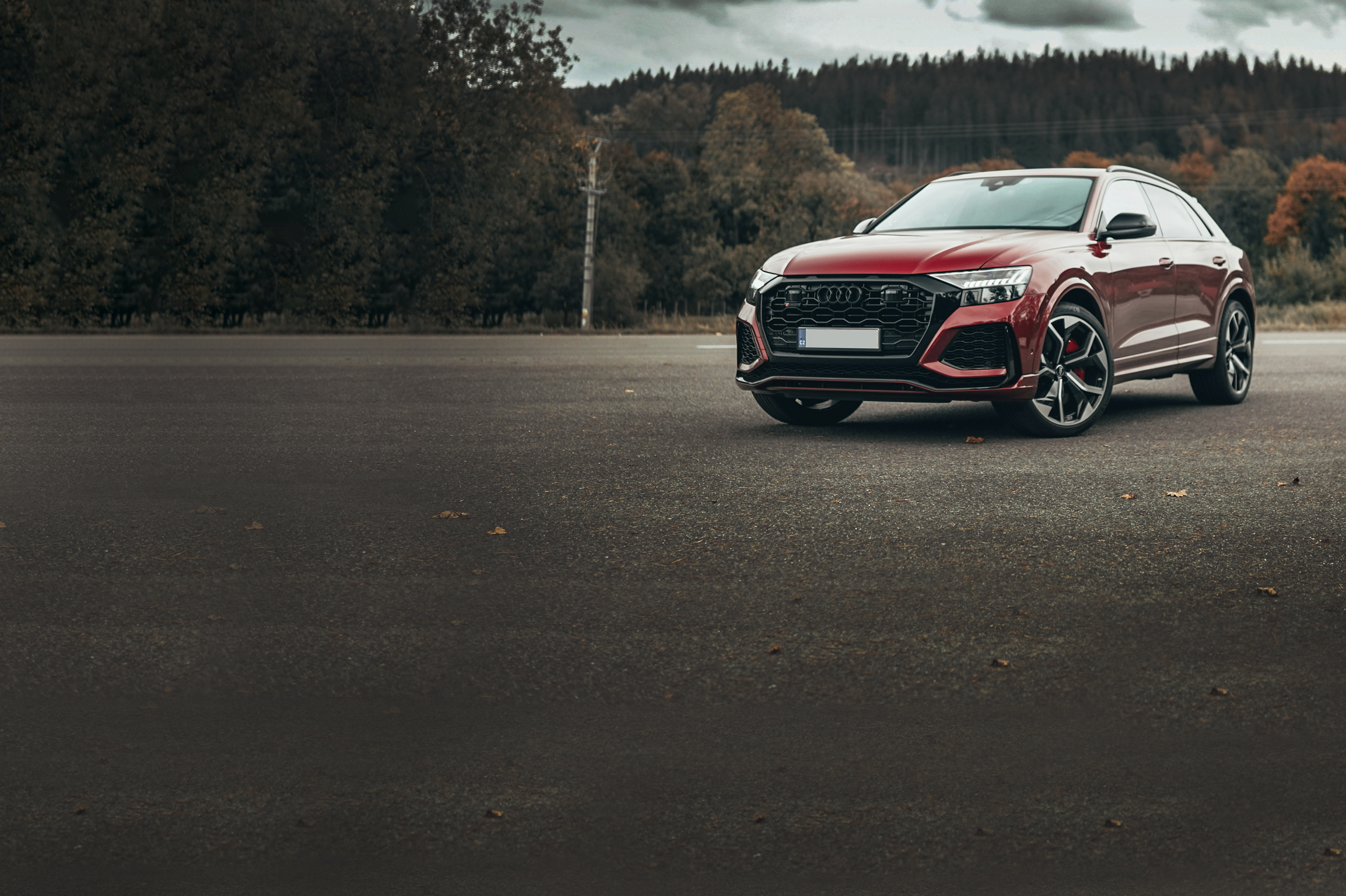 Photo by Martin Zdrazil on Unsplash