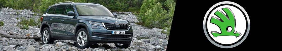 Skoda Kodiaq 2.0 TDI 4x4