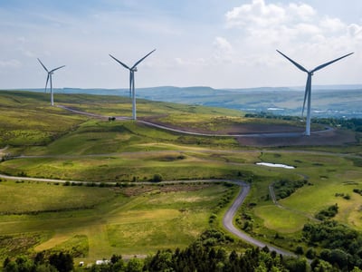 Renewable fuel use in 2019