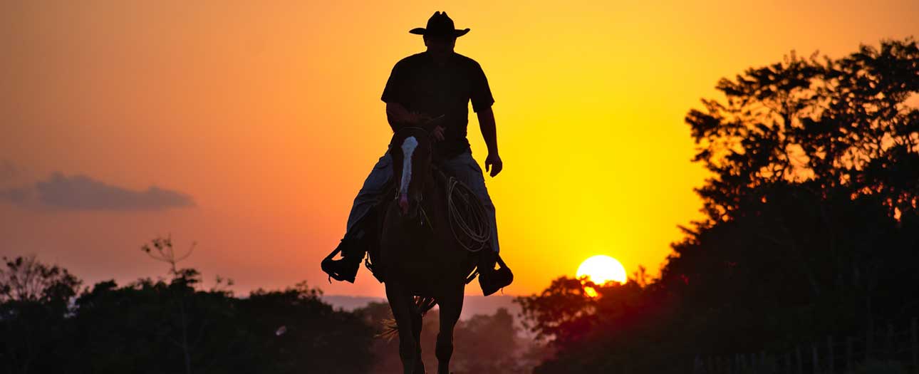 Horse Riders Road Safety for Other Road Users