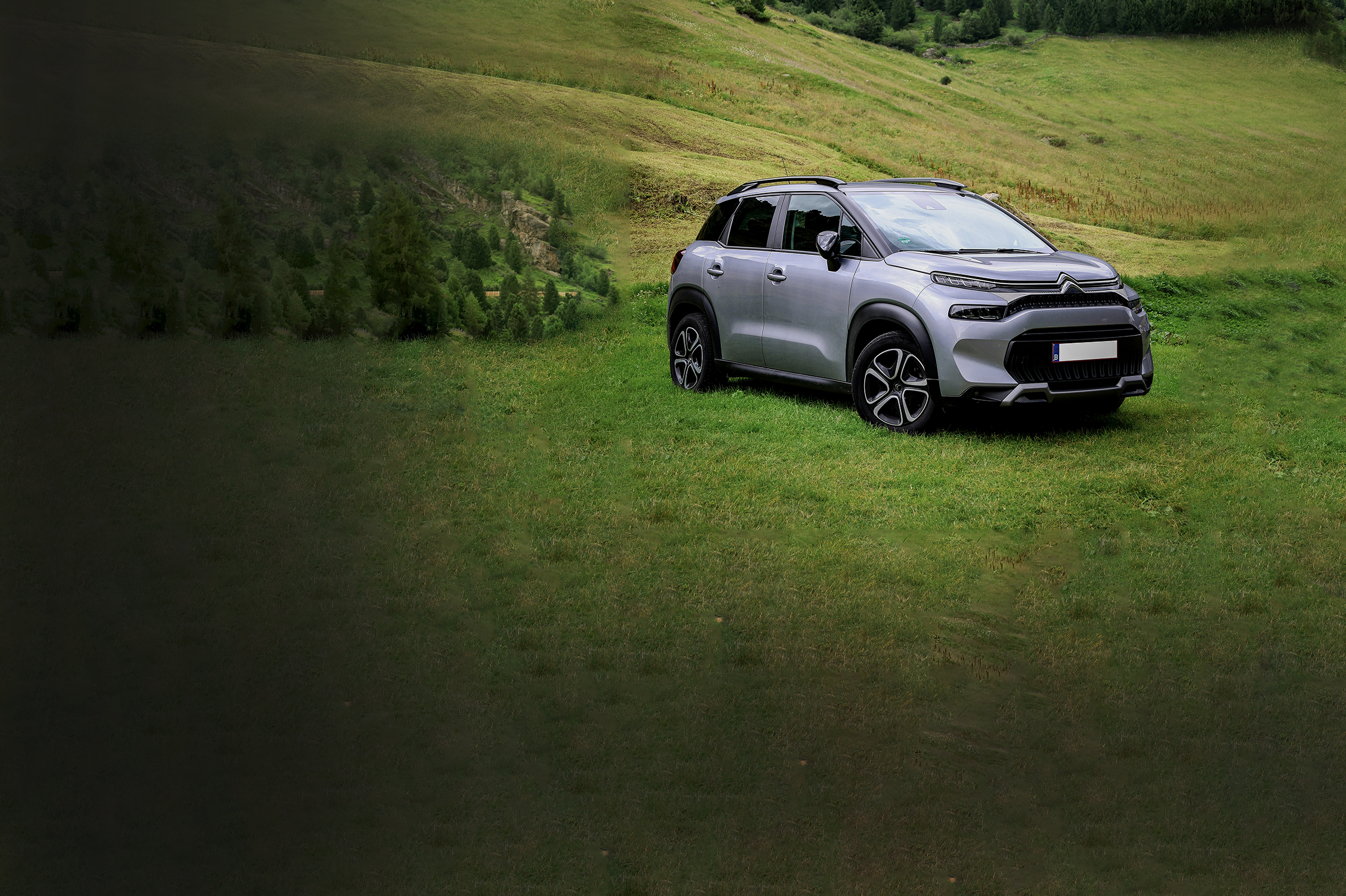 Photo by Tim D on Unsplash