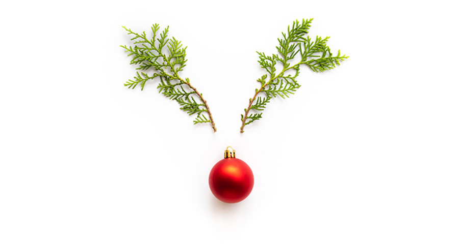 Reindeer Antlers
