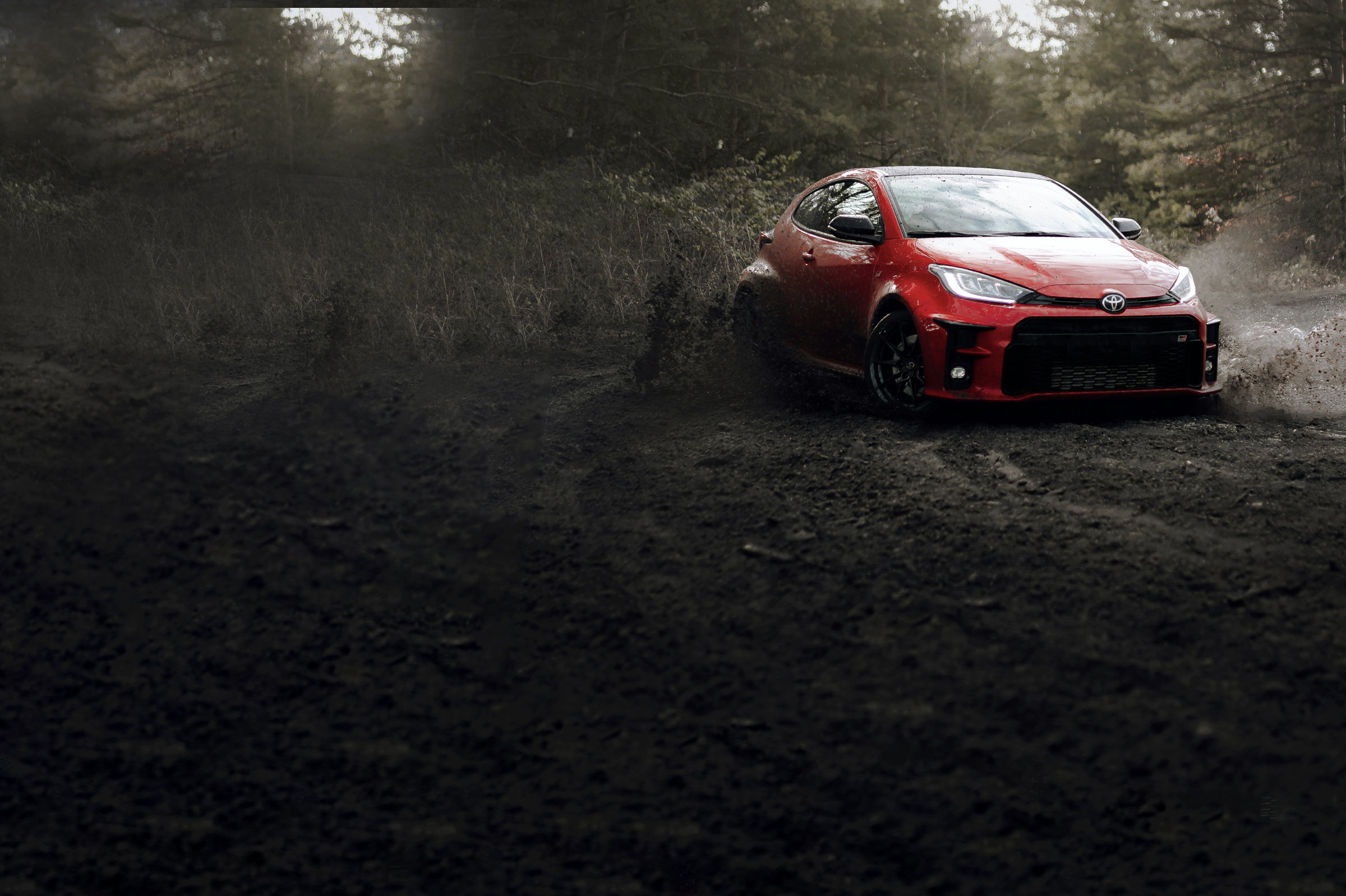 Photo by Martin Katler on Unsplash