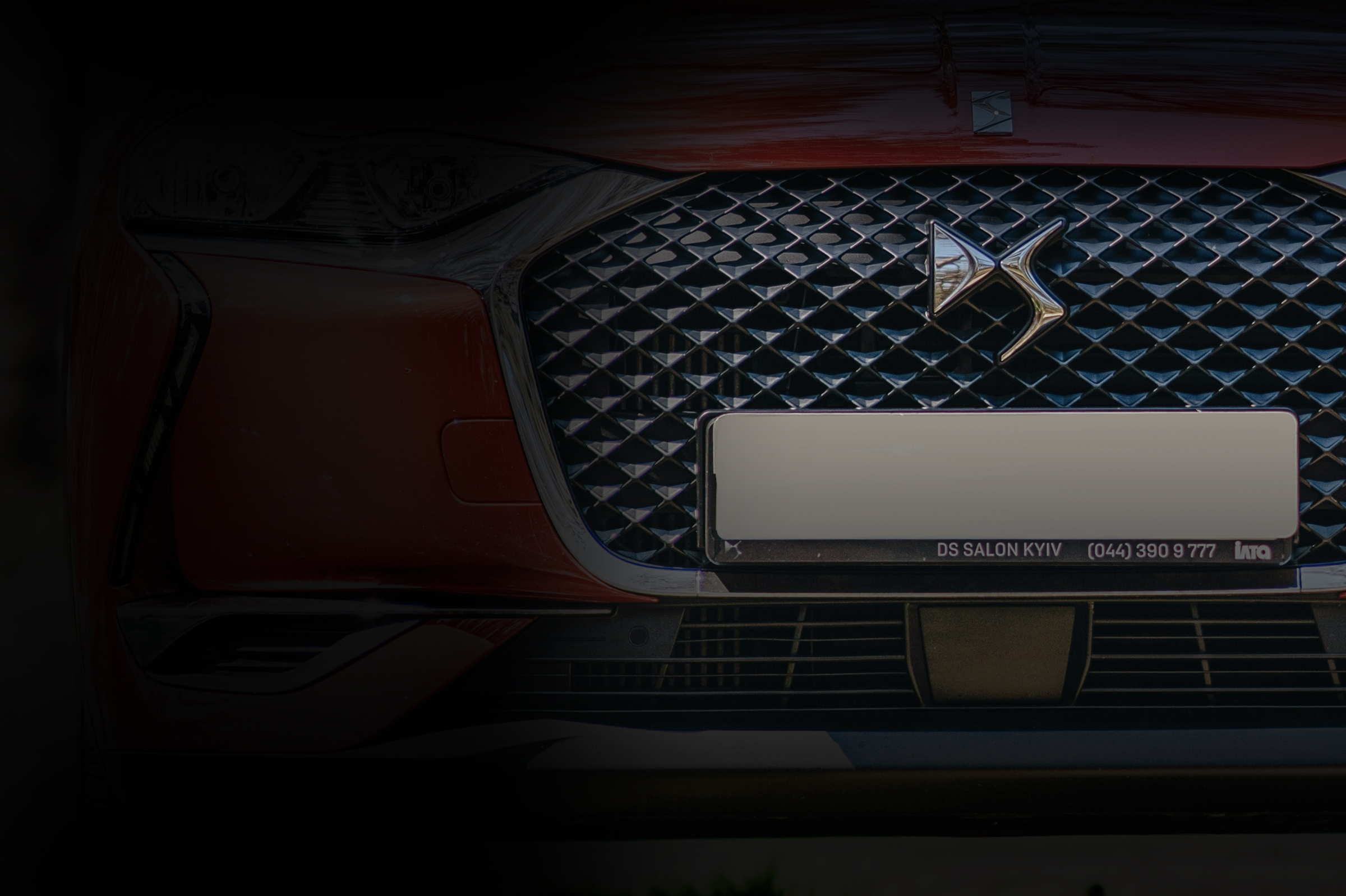 Photo by shche_ team on Unsplash