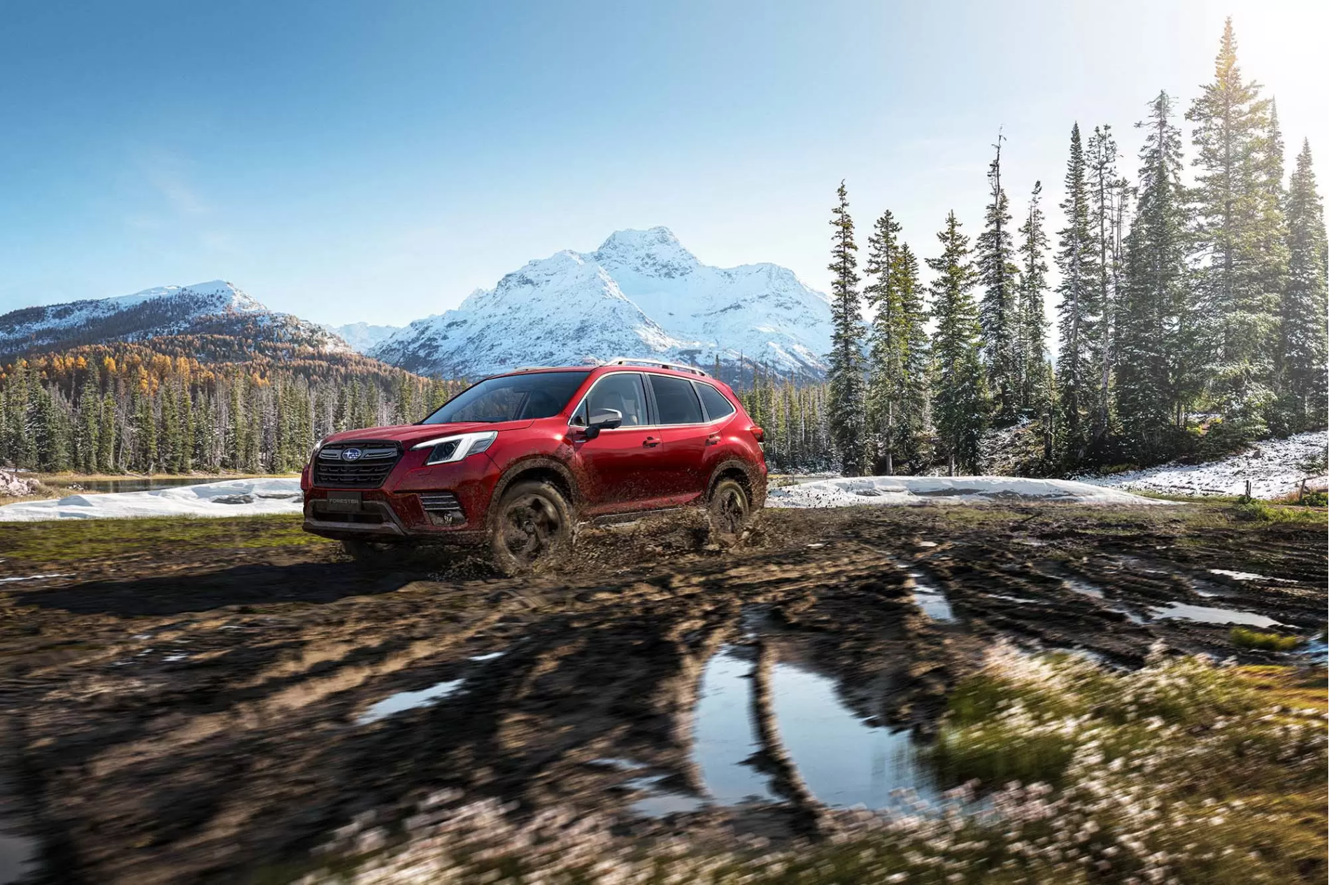 Employee Salary Sacrifice FAQs