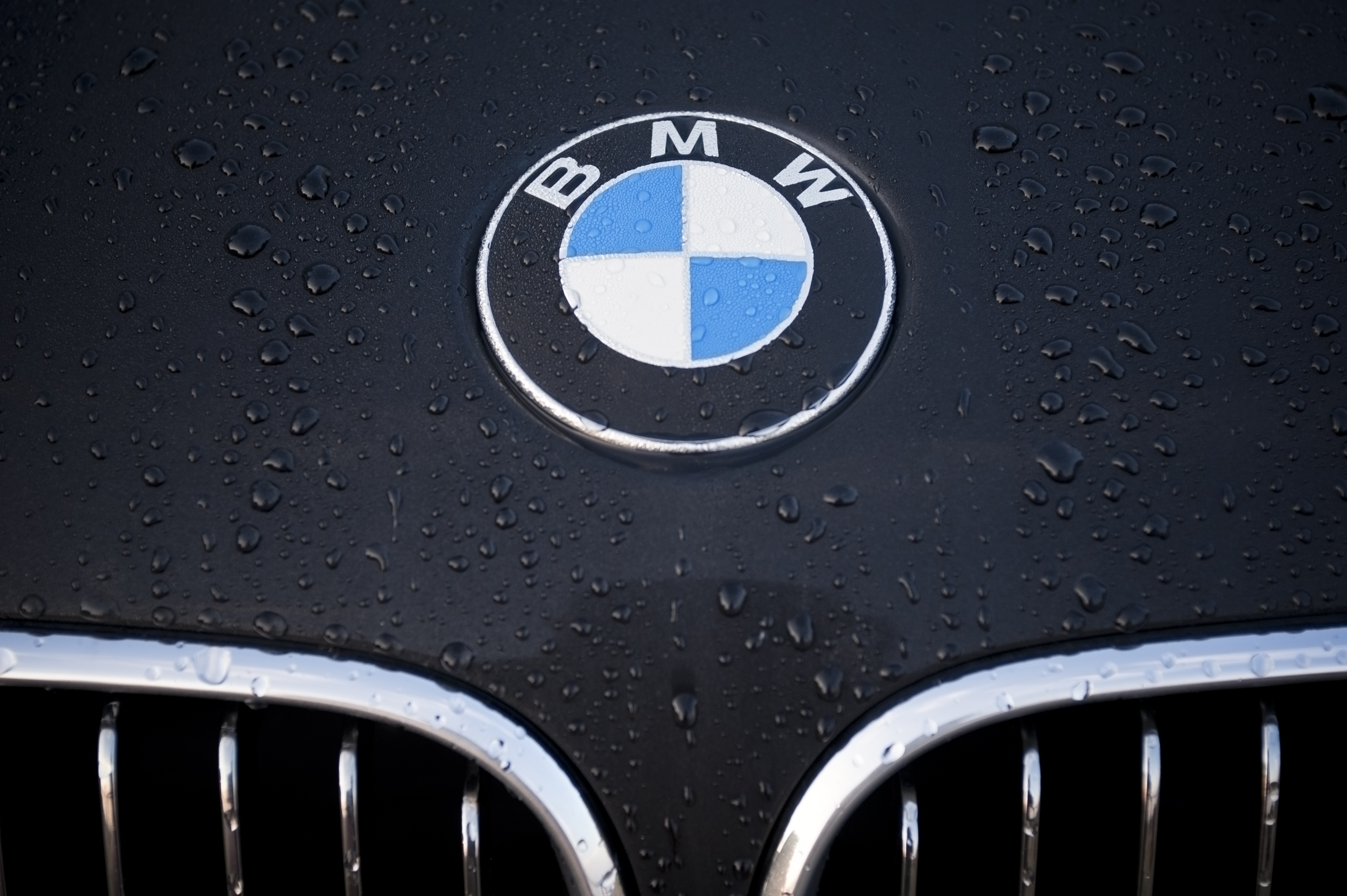 The Best BMW Models To Lease This Year