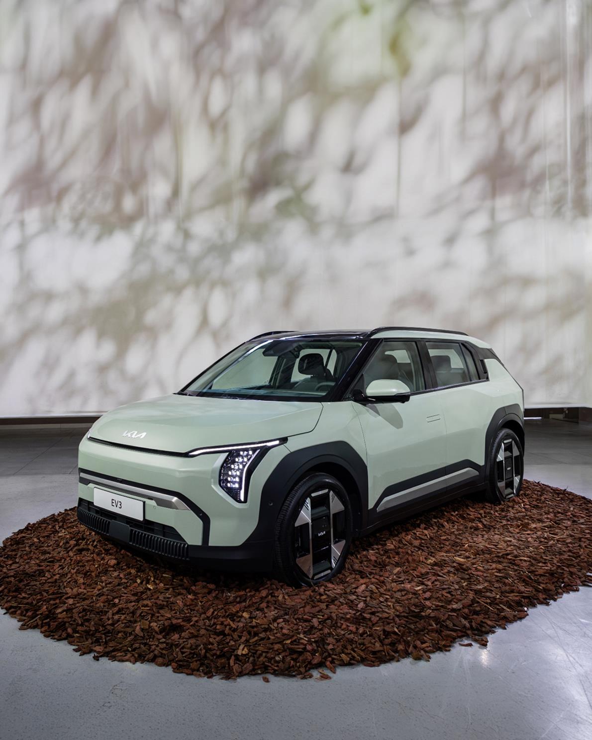 Unveiling the All-New Kia EV3