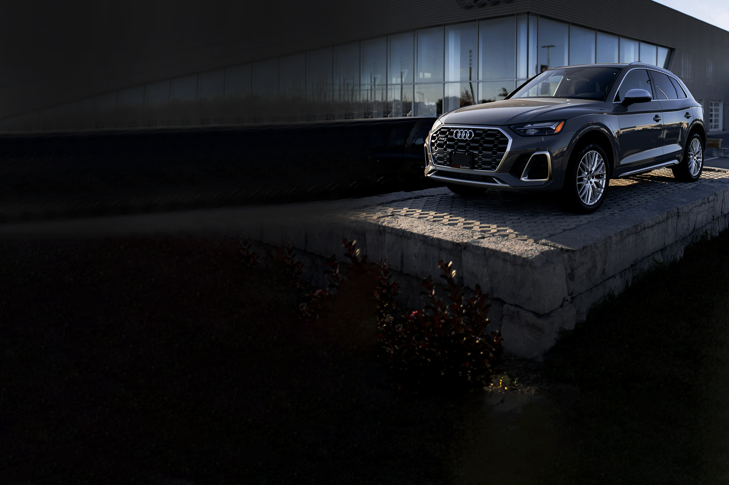 Photo by Dillon Kydd on Unsplash