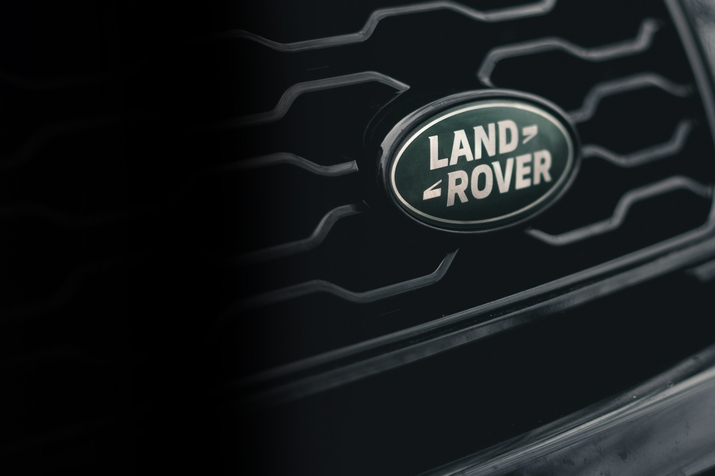 Photo by Loris Marie on Unsplash