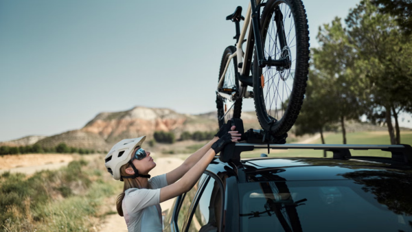 What is Benefit-in-Kind (BiK) 