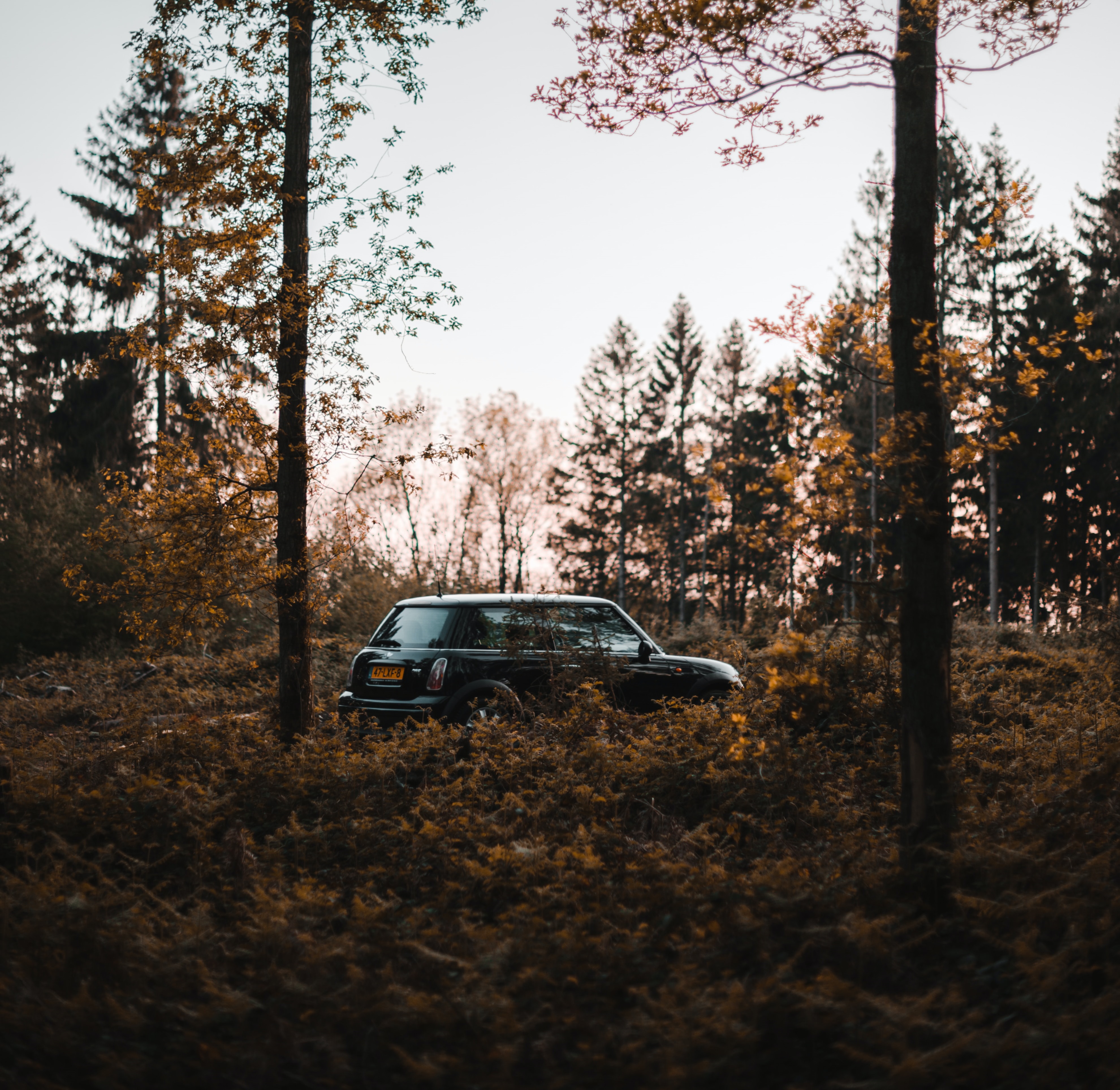 Hatchback Lease Deals