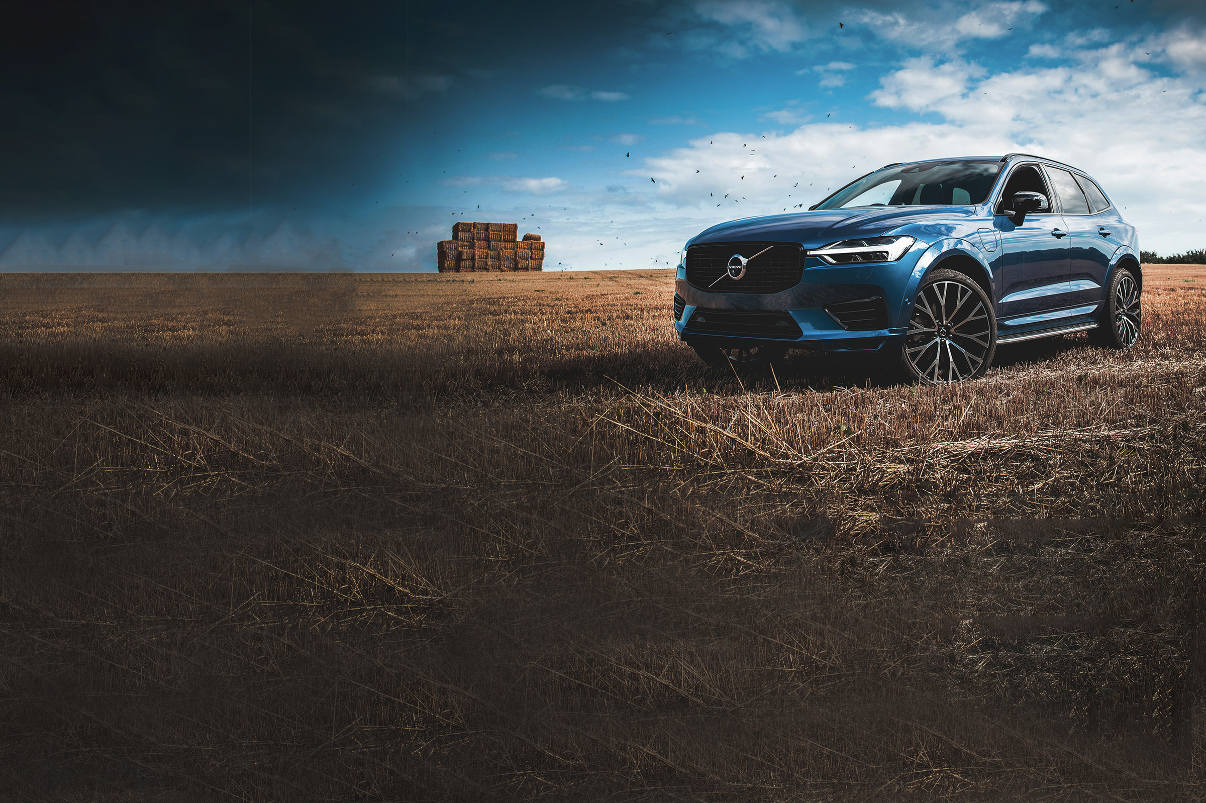 Photo by Remy Lovesy on Unsplash