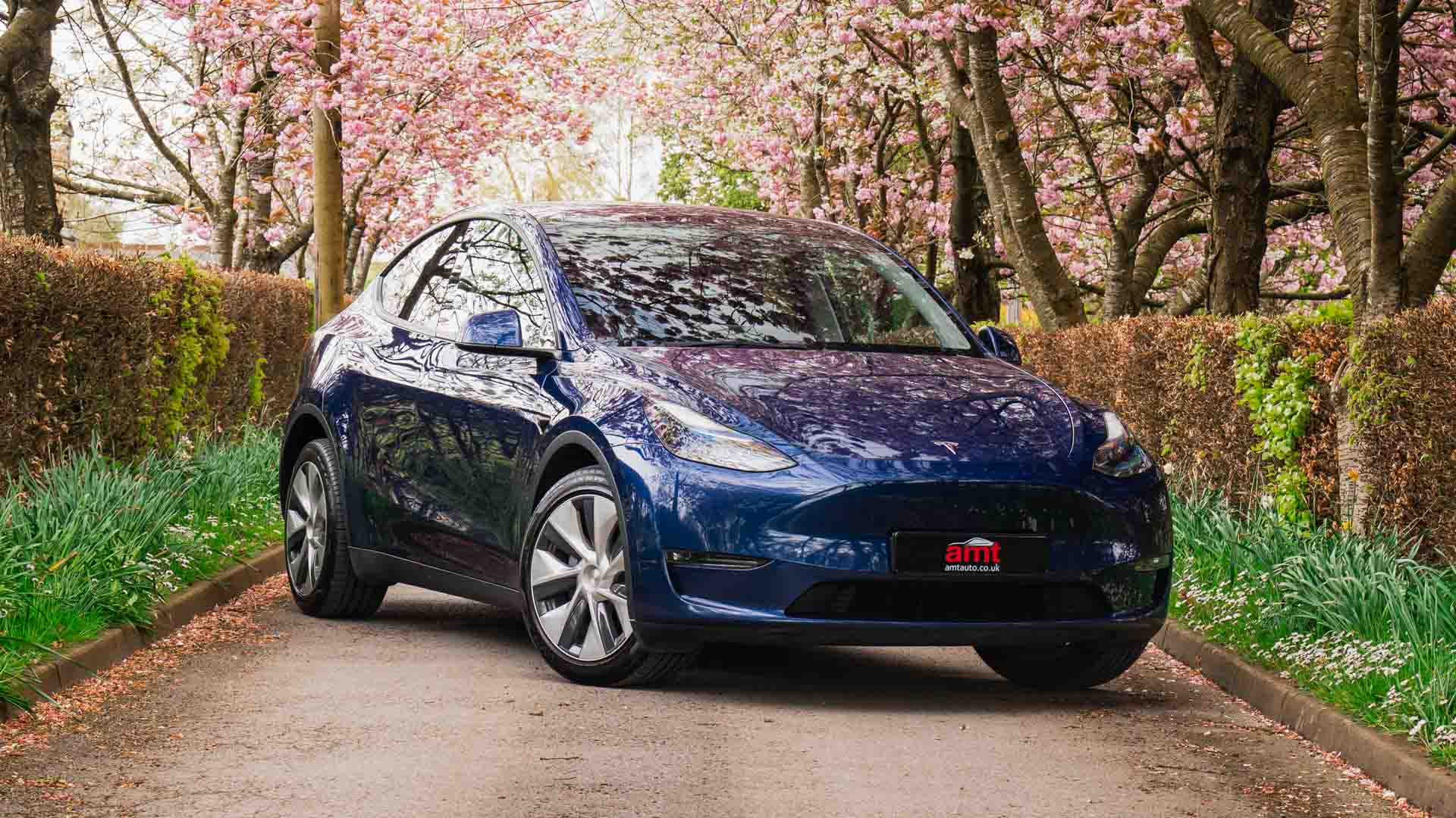 Electric car leasing