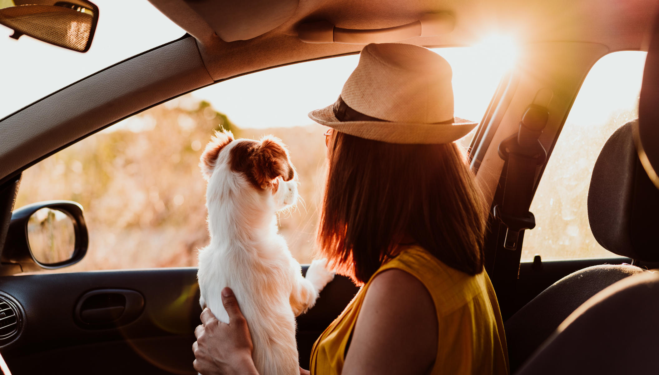 Beat the Heat: 10 tips for Keeping Your Car Cool in Summer