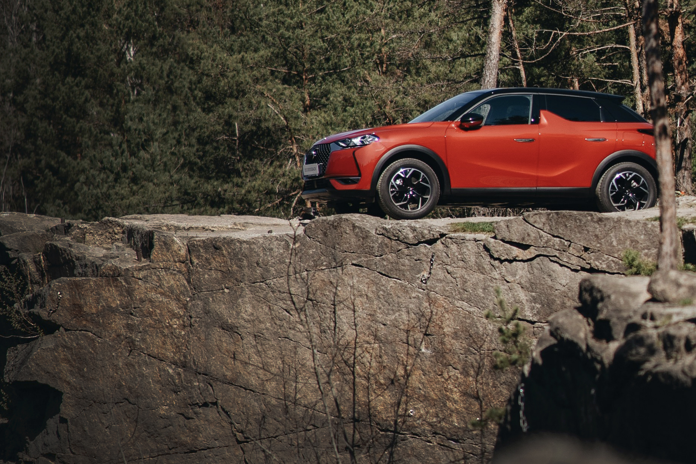 Photo by shche_ team on Unsplash