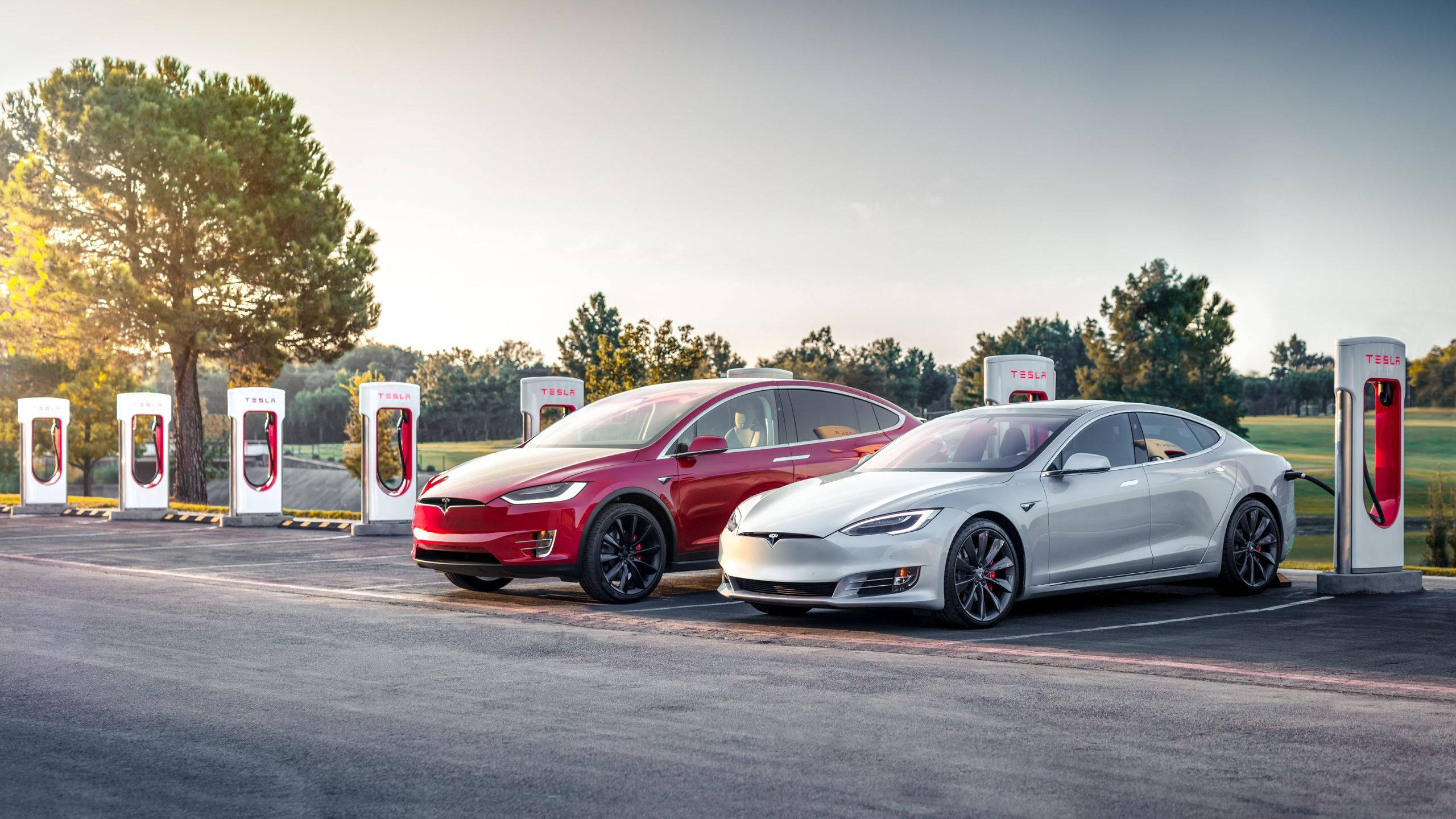 Business Tesla Leasing
