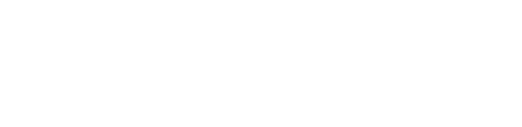 Skyfleet