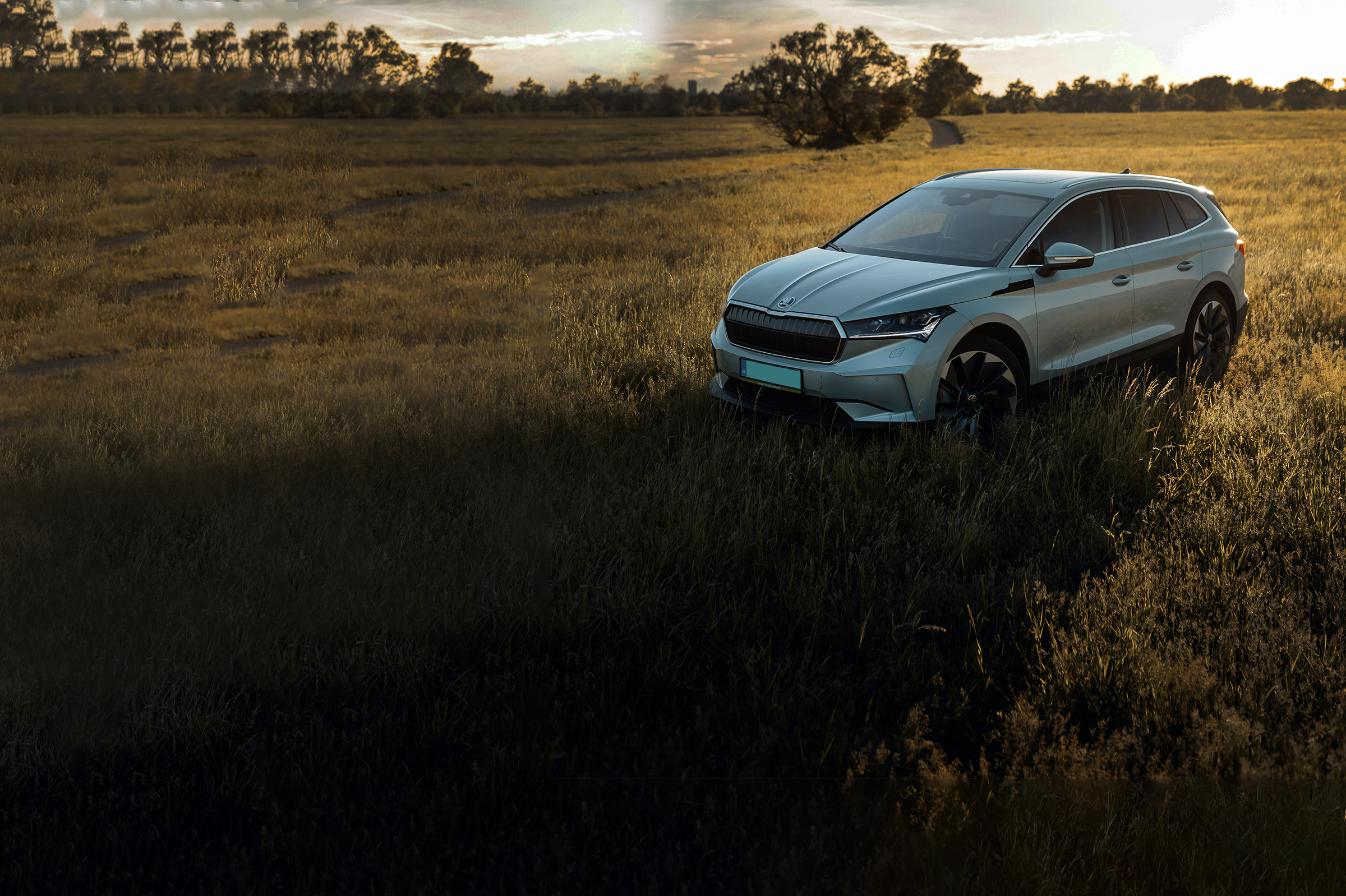 Photo by Martin Katler on Unsplash