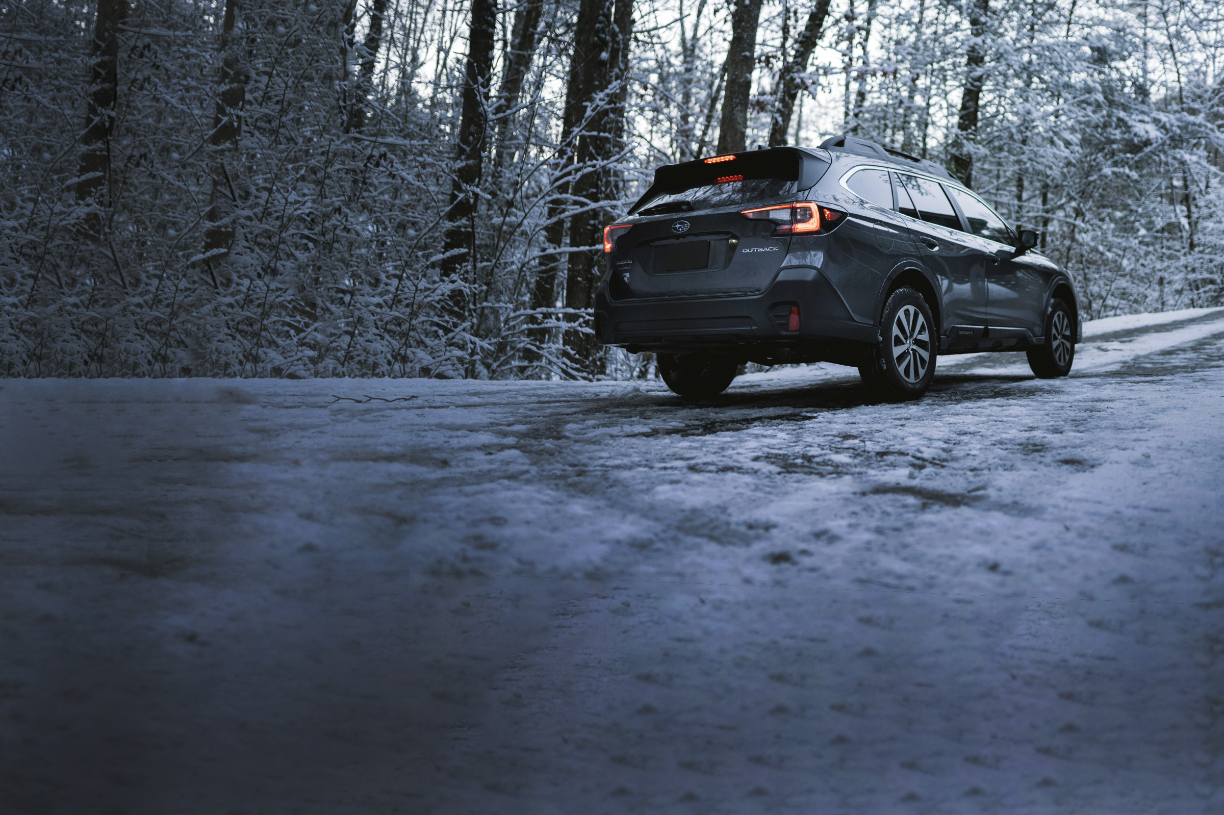 Photo by Nick Pryde on Unsplash