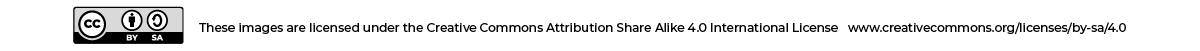 Creative commons Lisence