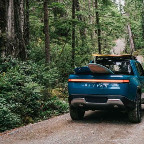Rivian Rear Forest