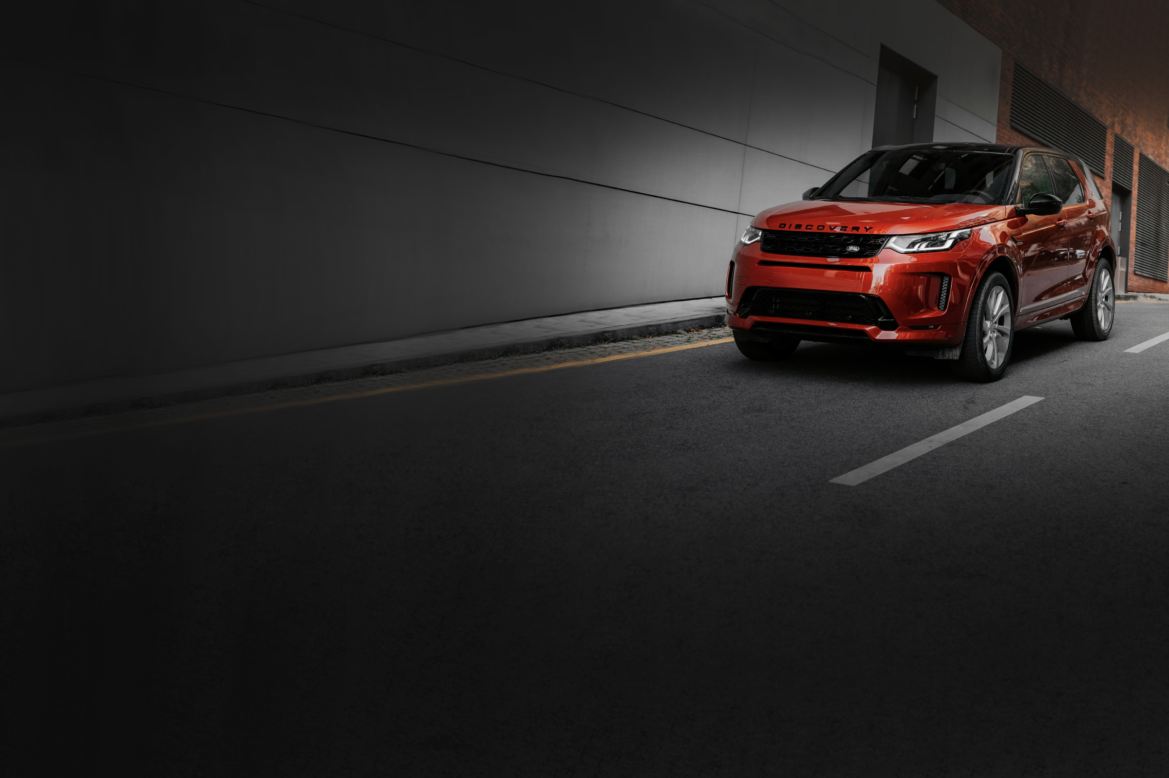 Photo by Martin Katler on Unsplash