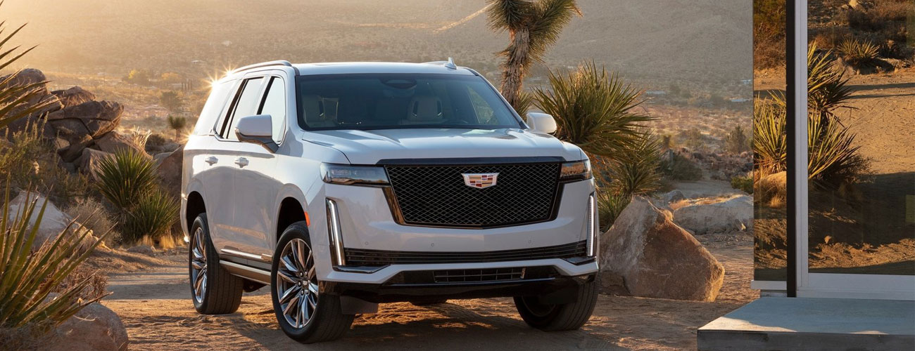 White Cadillac Escalade