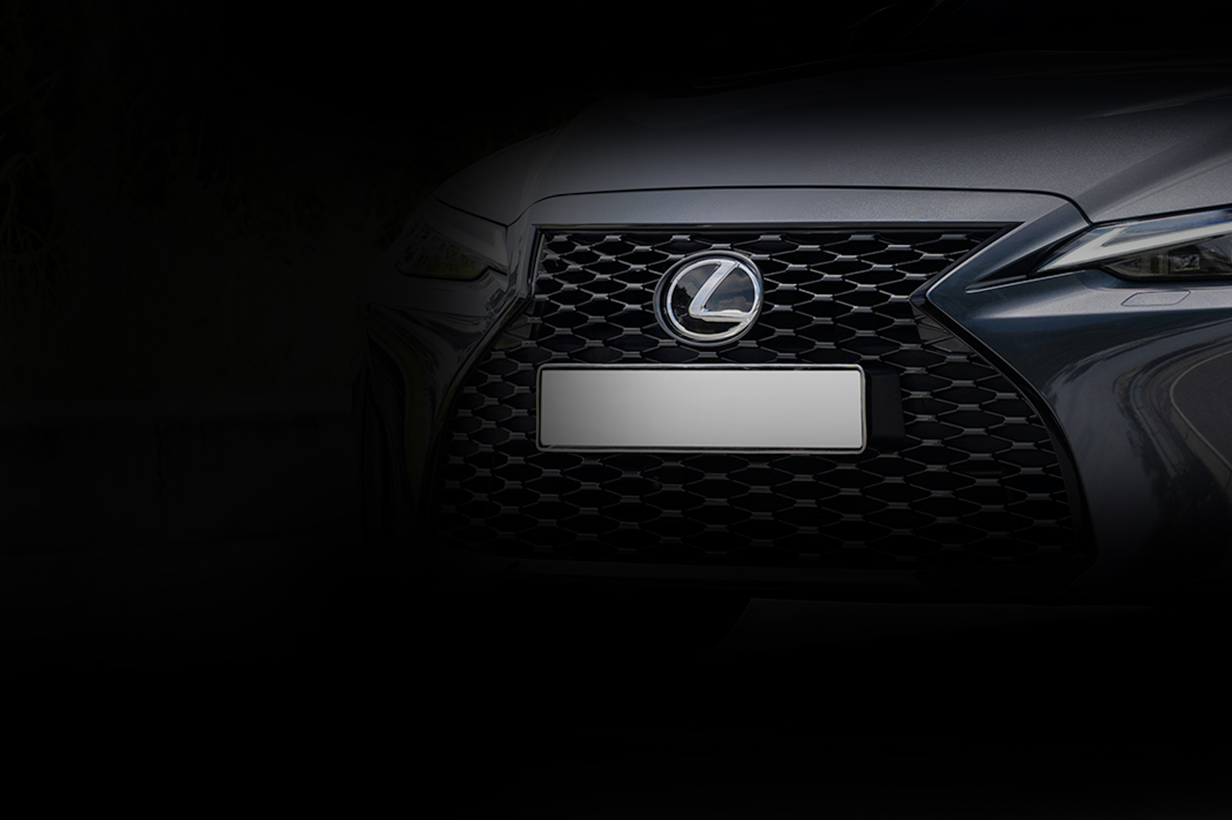 Photo by NAM CZ on Unsplash