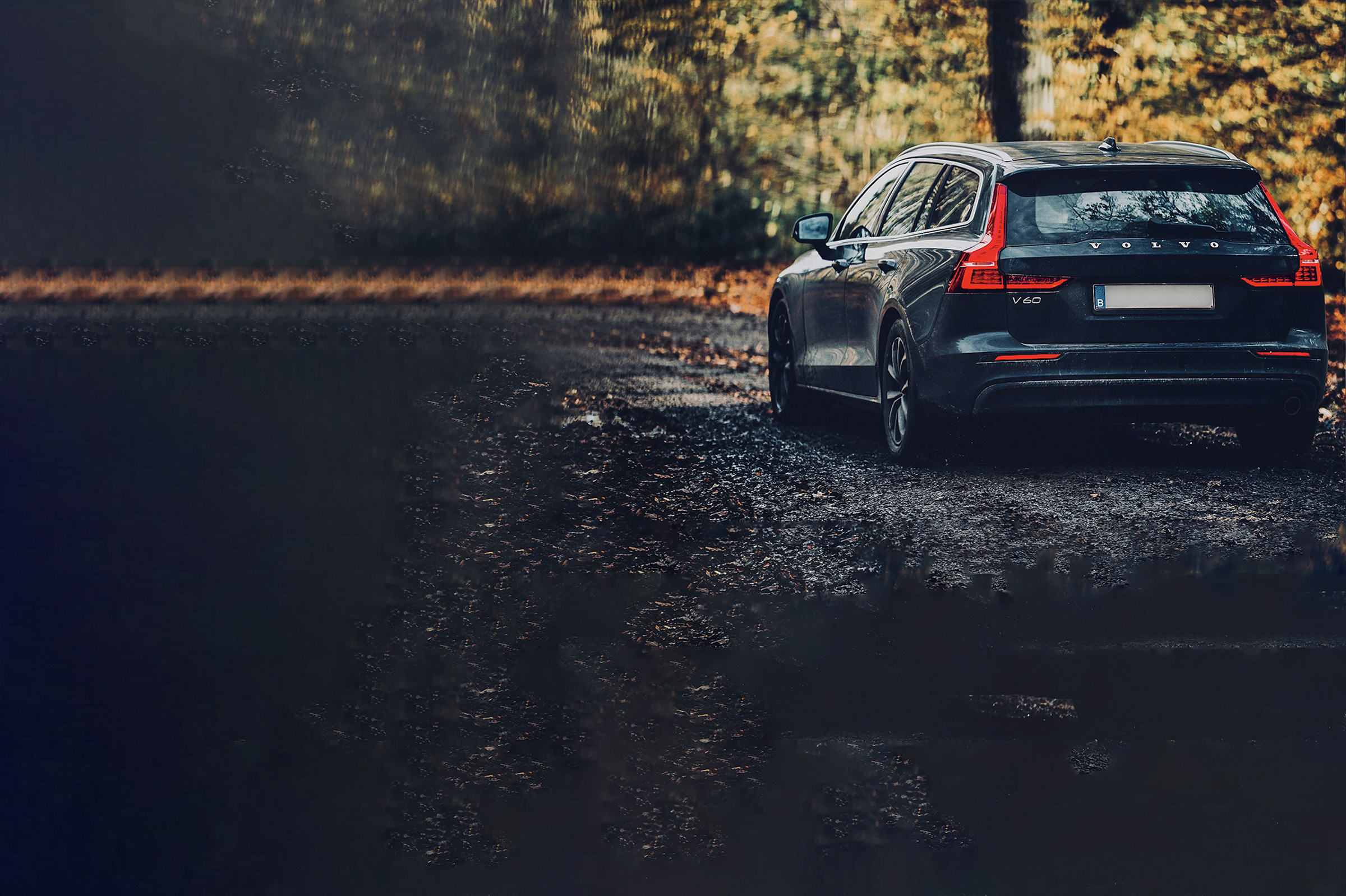 Photo by Miguel Teirlinck on Unsplash