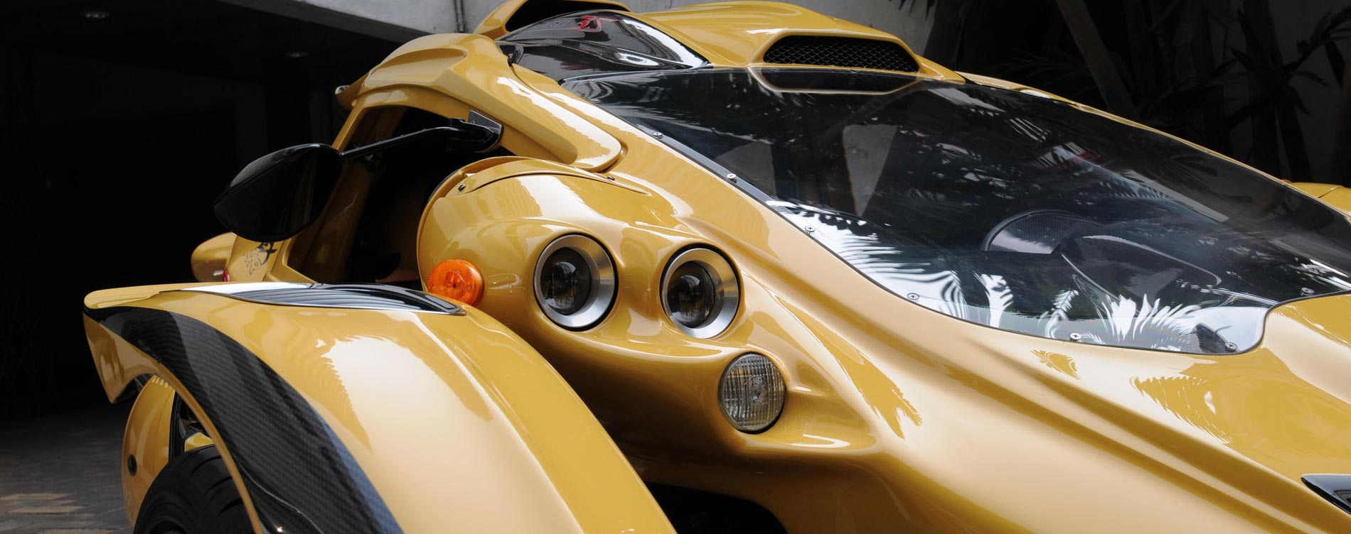 The Campagna T-Rex RR from Canada