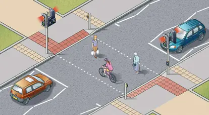 Toucan Crossing