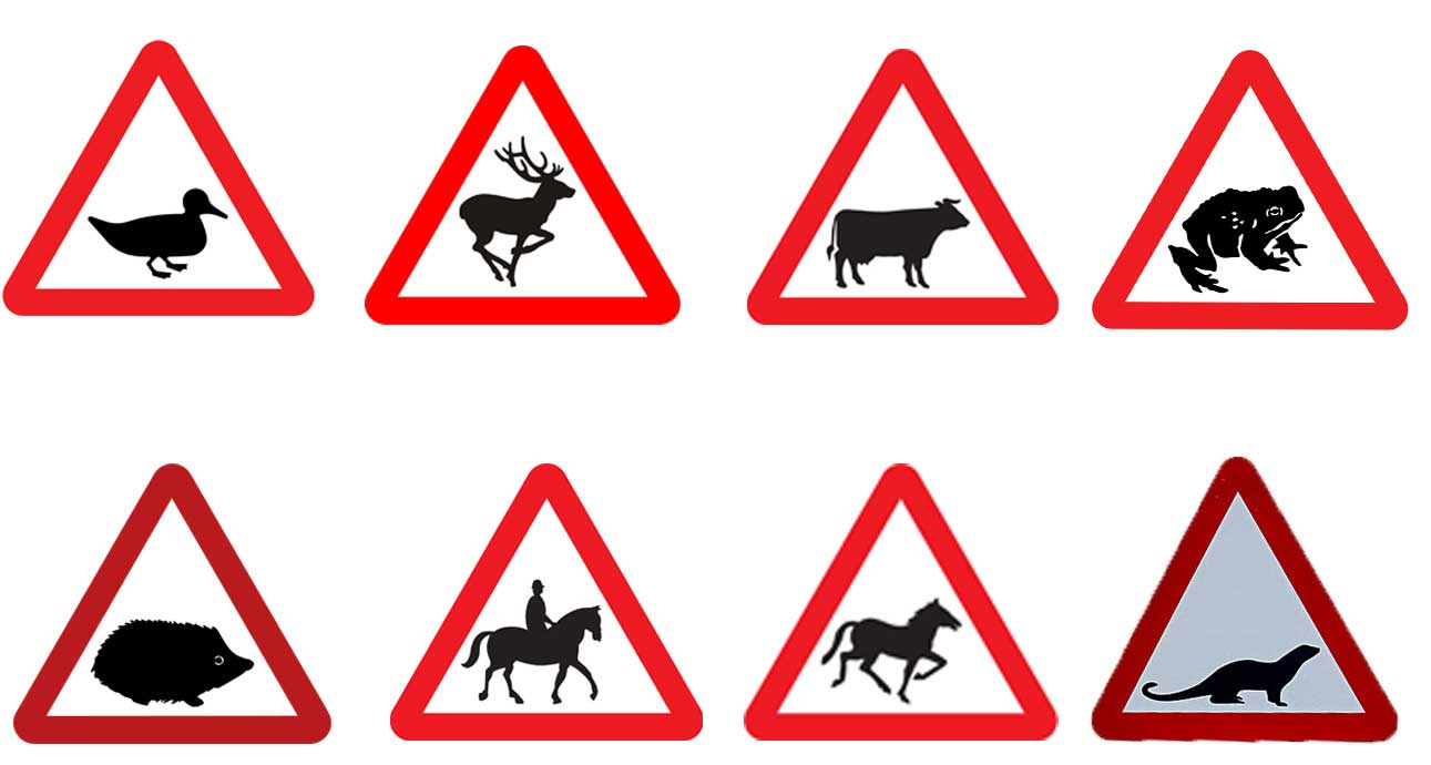 Top animal Road Signs National Badger Day – Driving Safely for Badgers and Other Animals